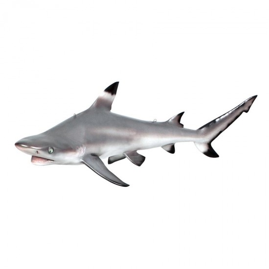 Design Toscano Black Tip Shark Ceiling Mount Trophy