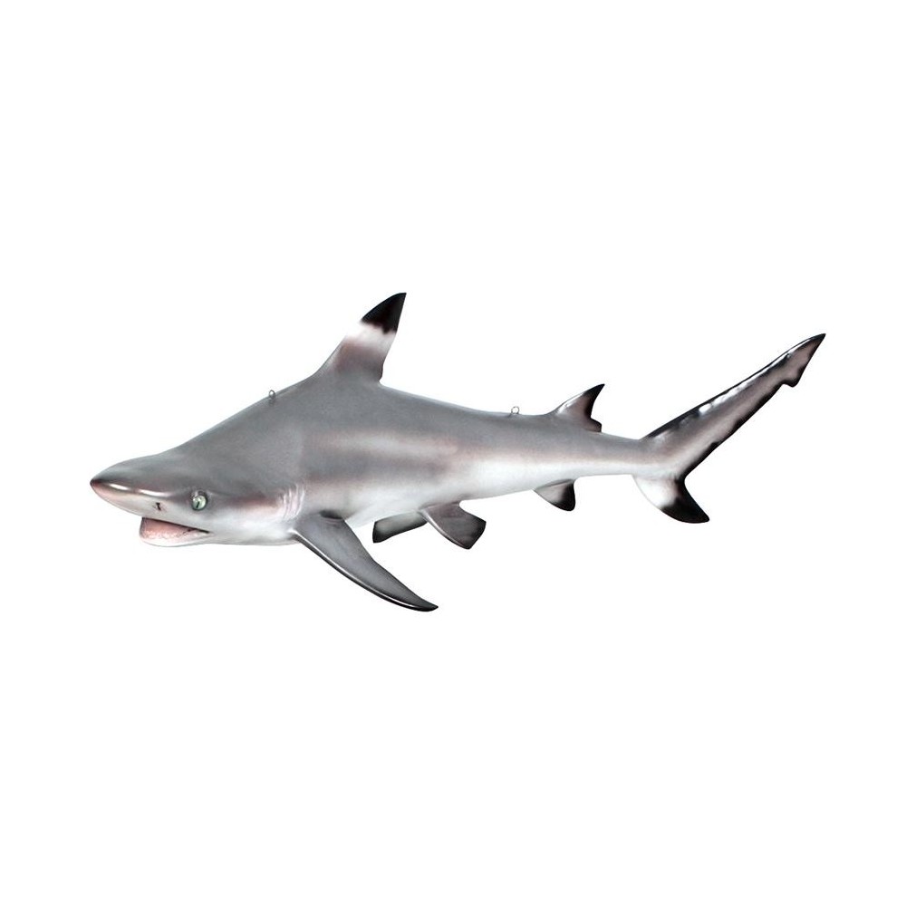 Design Toscano Black Tip Shark Ceiling Mount Trophy