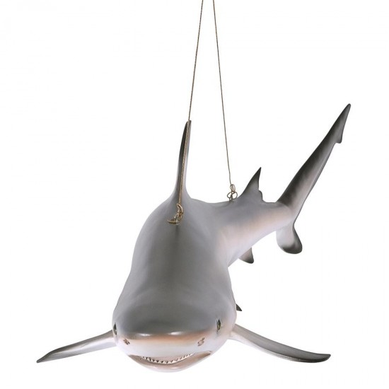 Design Toscano Black Tip Shark Ceiling Mount Trophy