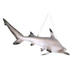 Design Toscano Black Tip Shark Ceiling Mount Trophy