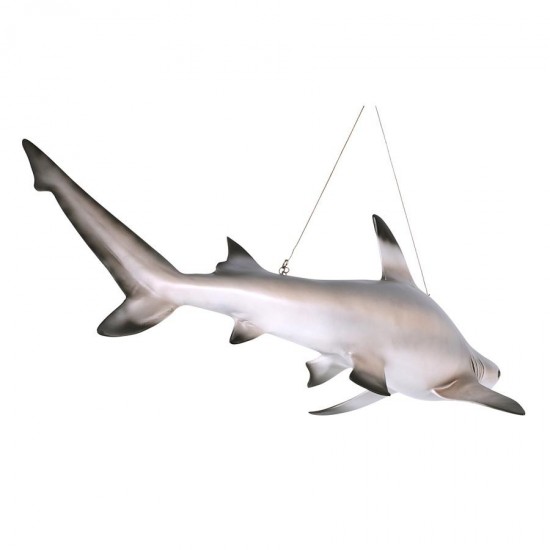 Design Toscano Black Tip Shark Ceiling Mount Trophy