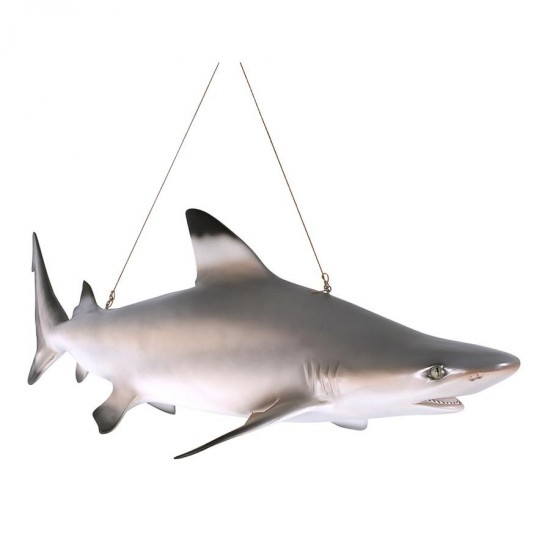 Design Toscano Black Tip Shark Ceiling Mount Trophy