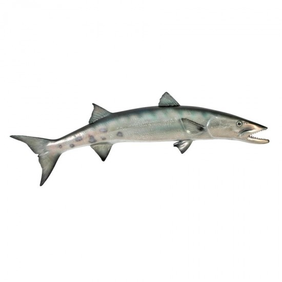 Design Toscano Barracuda Wall Trophy