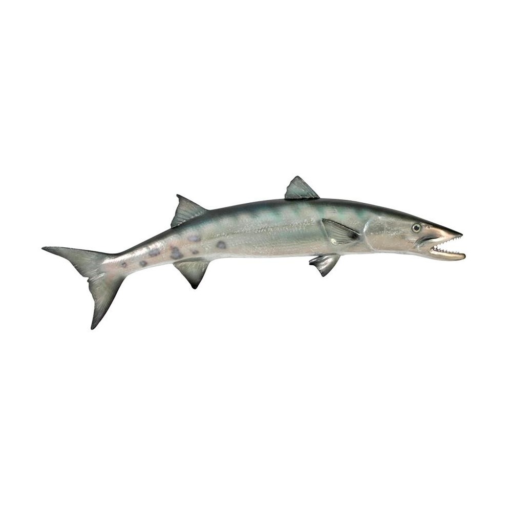 Design Toscano Barracuda Wall Trophy