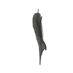 Design Toscano Barracuda Wall Trophy