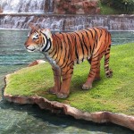 Design Toscano Sumatran Tiger Statue