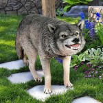 Design Toscano Growling Gray Wolf Statue
