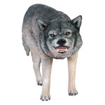 Design Toscano Growling Gray Wolf Statue