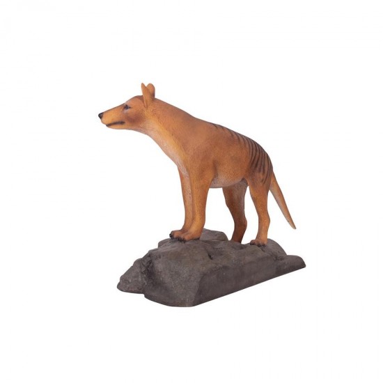 Design Toscano Mysterious Tasmanian Tiger Statue