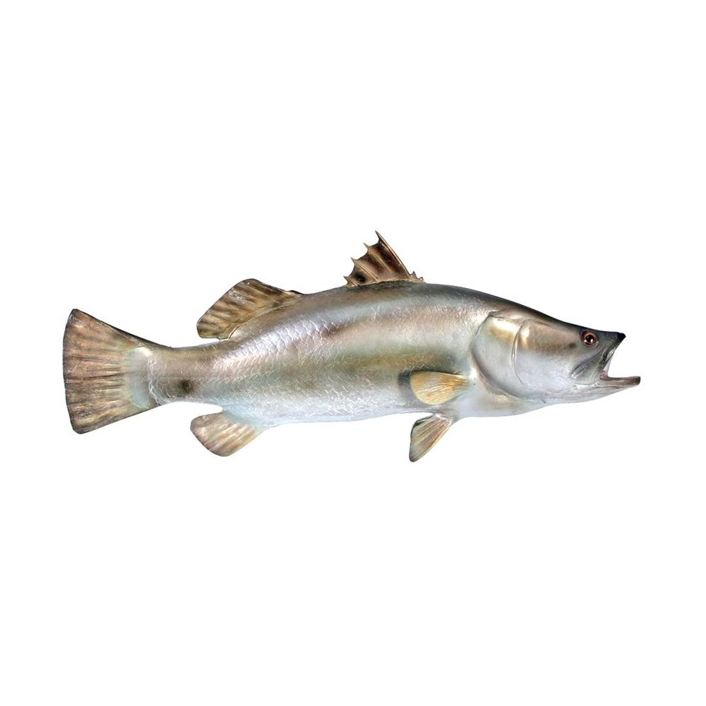 Design Toscano Barramundi Wall Trophy