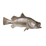 Design Toscano Barramundi Wall Trophy