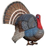 Design Toscano Wild Tom Turkey Statue