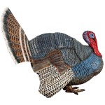 Design Toscano Wild Tom Turkey Statue