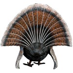 Design Toscano Wild Tom Turkey Statue