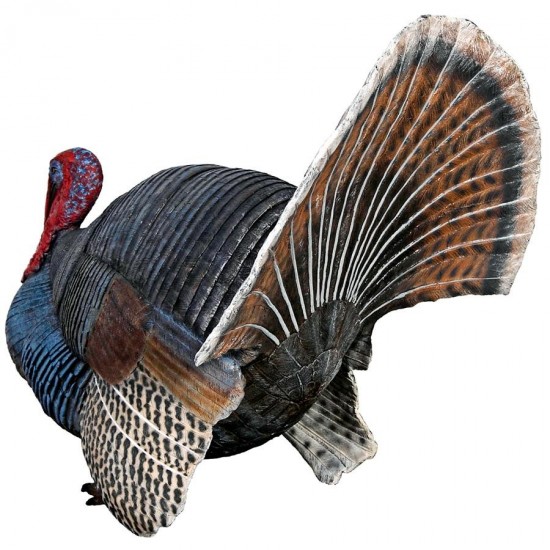 Design Toscano Wild Tom Turkey Statue