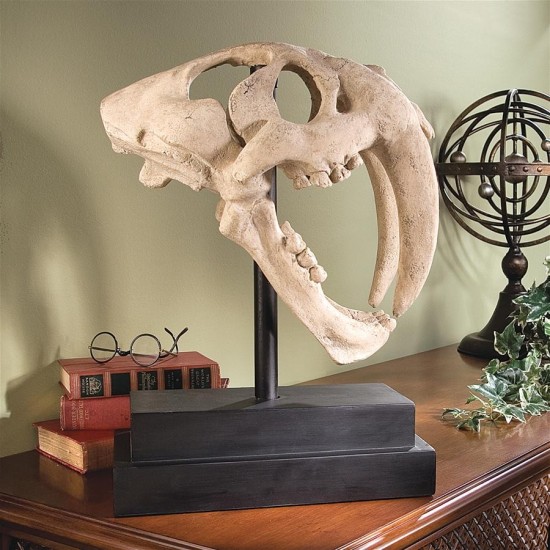 Design Toscano Saber Tooth Tiger Skull On Museum Mount