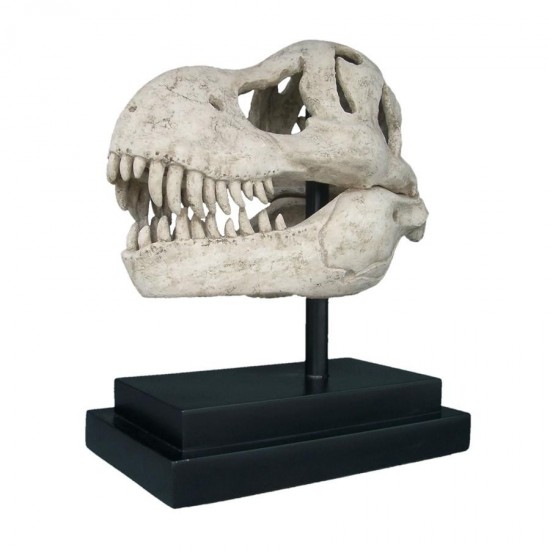 Design Toscano T-Rex Dinosaur Skull On Mount