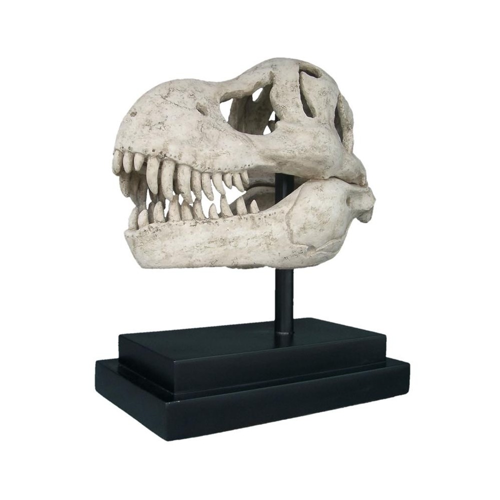 Design Toscano T-Rex Dinosaur Skull On Mount