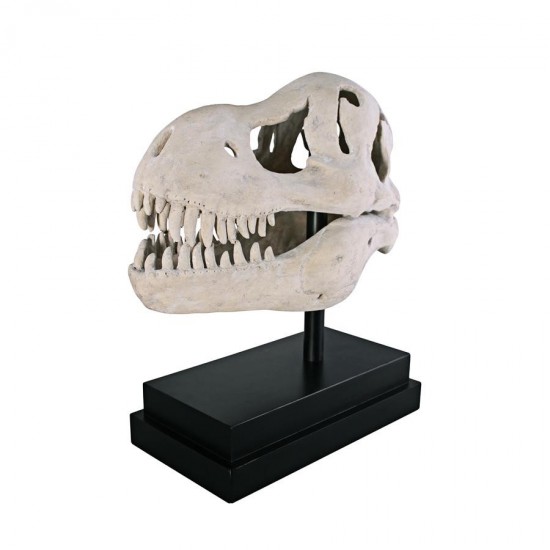 Design Toscano T-Rex Dinosaur Skull On Mount