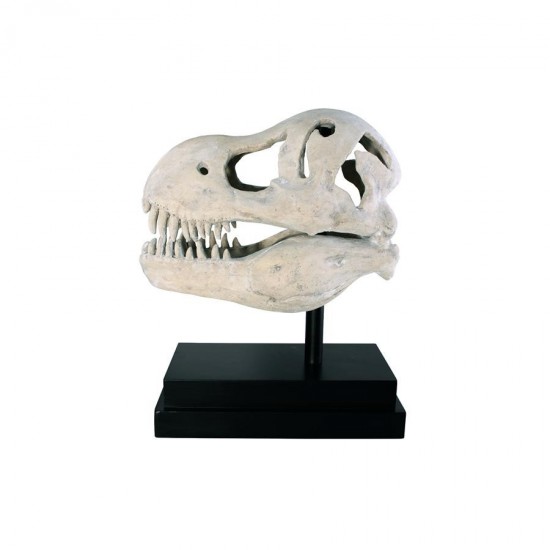 Design Toscano T-Rex Dinosaur Skull On Mount