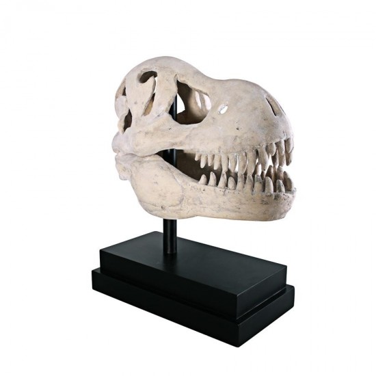 Design Toscano T-Rex Dinosaur Skull On Mount