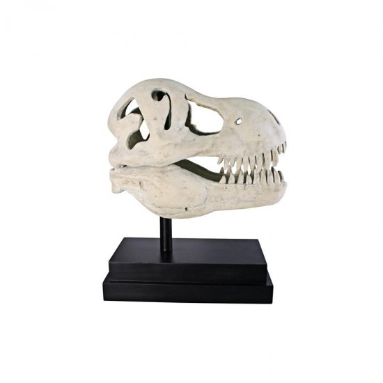 Design Toscano T-Rex Dinosaur Skull On Mount