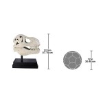 Design Toscano T-Rex Dinosaur Skull On Mount