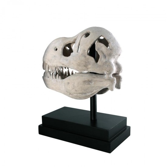 Design Toscano T-Rex Dinosaur Skull On Mount