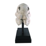 Design Toscano T-Rex Dinosaur Skull On Mount