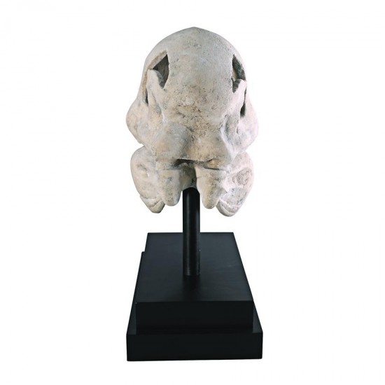 Design Toscano T-Rex Dinosaur Skull On Mount