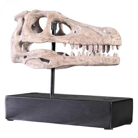 Design Toscano Velociraptor Skull Fossil Statue