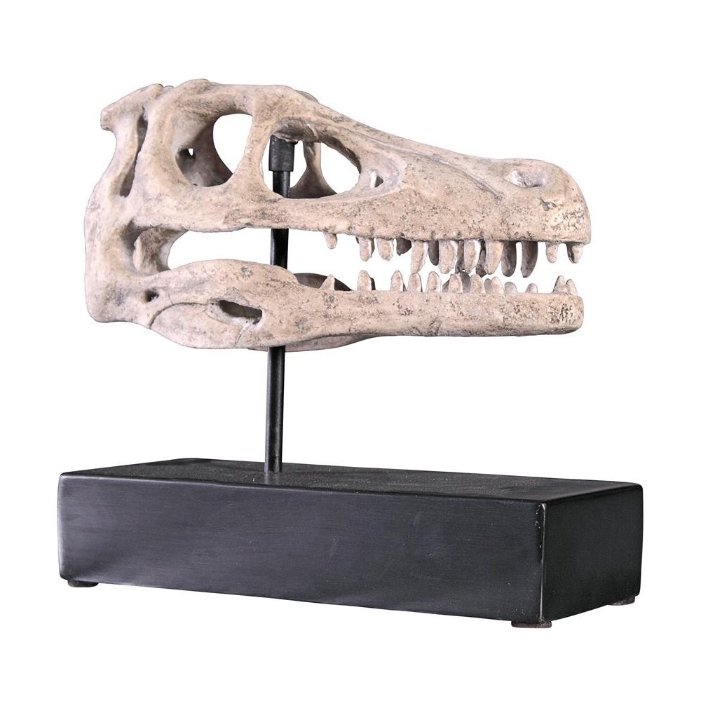 Design Toscano Velociraptor Skull Fossil Statue Design Toscano Velociraptor Skull Fossil Statue