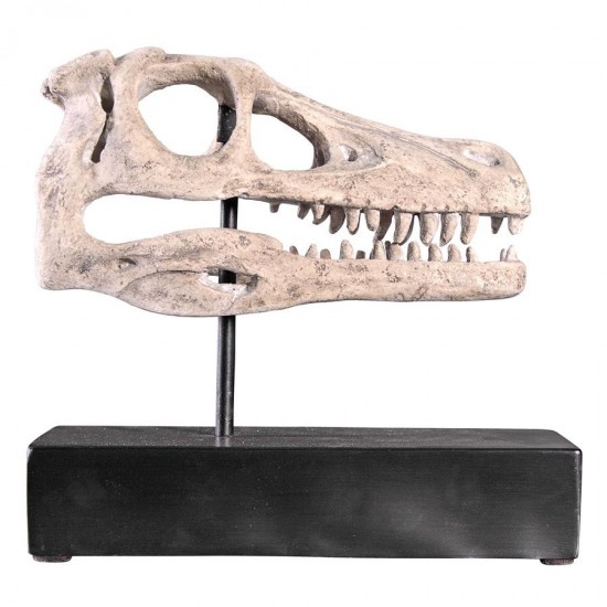 Design Toscano Velociraptor Skull Fossil Statue