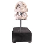 Design Toscano Velociraptor Skull Fossil Statue
