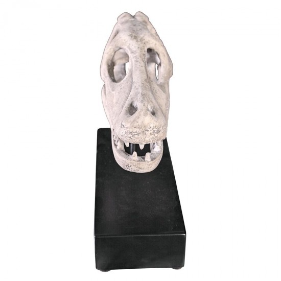 Design Toscano Velociraptor Skull Fossil Statue