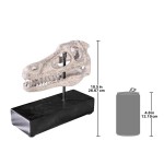 Design Toscano Velociraptor Skull Fossil Statue