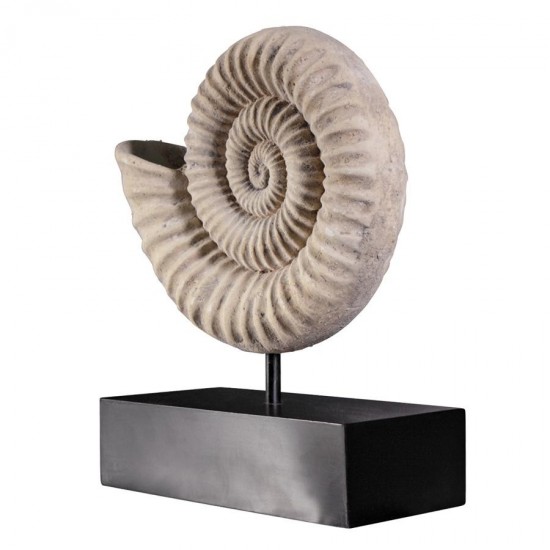 Design Toscano Ammonite Fossil Statue On Mount