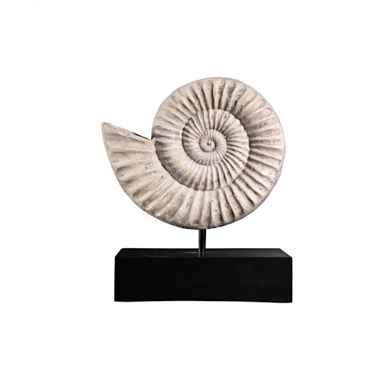 Design Toscano Ammonite Fossil Statue On Mount