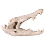 Design Toscano Crocodile Skull