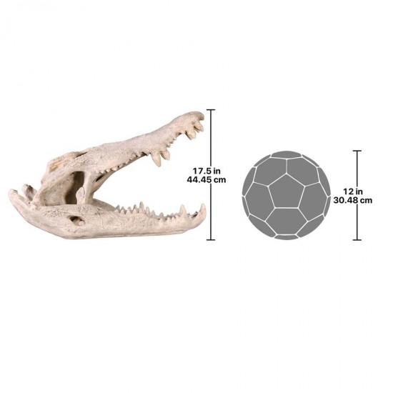 Design Toscano Crocodile Skull