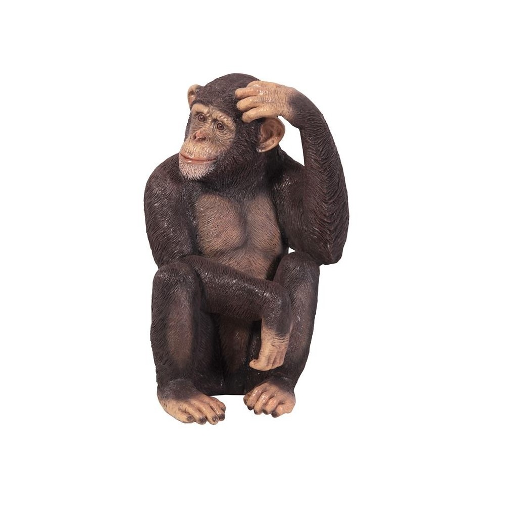 Design Toscano Chauncey The Confused Chimp Statue