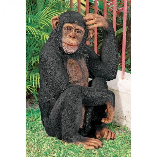 Design Toscano Chauncey The Confused Chimp Statue