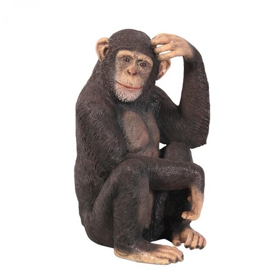 Design Toscano Chauncey The Confused Chimp Statue