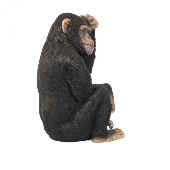 Design Toscano Chauncey The Confused Chimp Statue