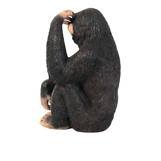 Design Toscano Chauncey The Confused Chimp Statue