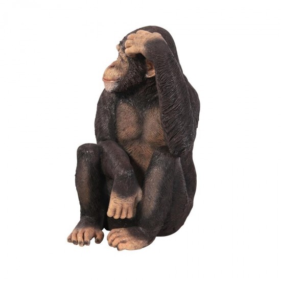 Design Toscano Chauncey The Confused Chimp Statue