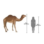 Design Toscano Life Size Camel Statue