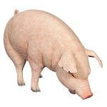 Design Toscano Divine Swine Life Size Farm Pig Statue