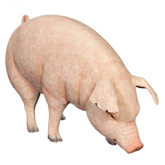 Design Toscano Divine Swine Life Size Farm Pig Statue