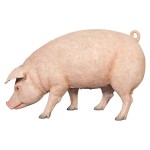 Design Toscano Divine Swine Life Size Farm Pig Statue